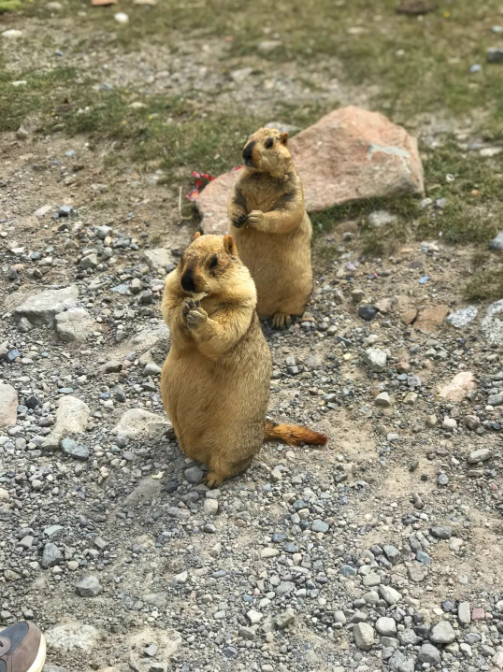 1609118899820385.png image.png