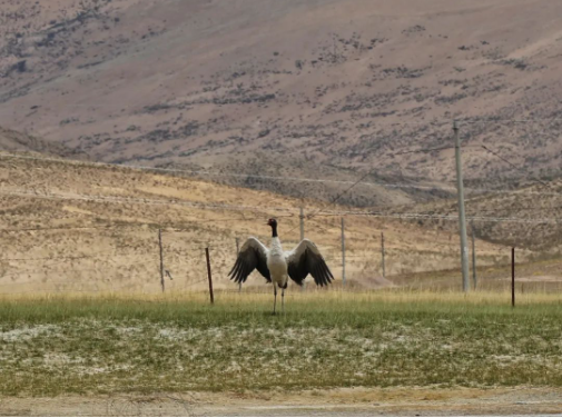 1609118962908229.png image.png