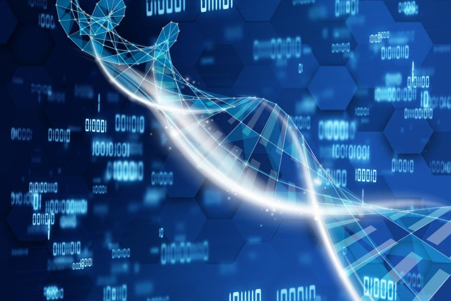 1737597281664750.png 640.png